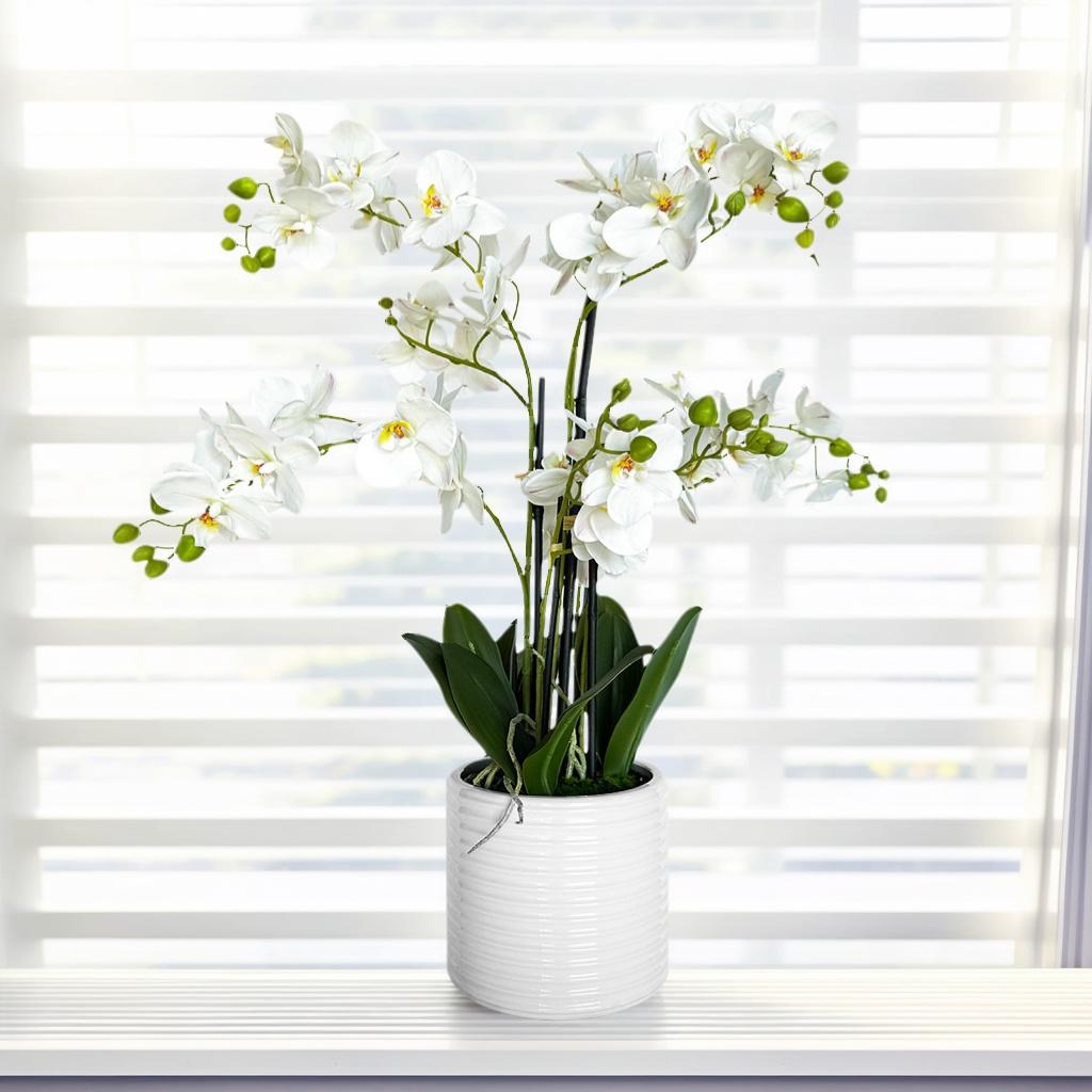 Orchid in Ceramic Pot - Vermeil Decor